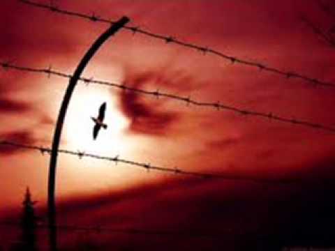 Unutma Beni - Bülent Çidem