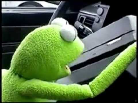 kermit  gets  drunk  rock n robin