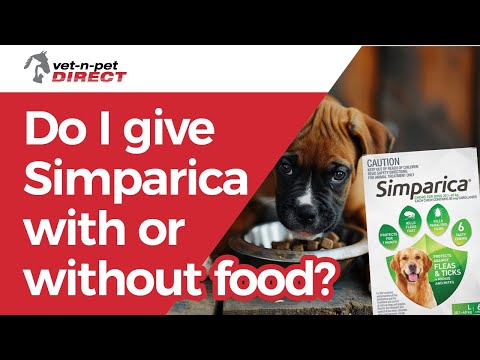 Do I give Simparica with or without food?