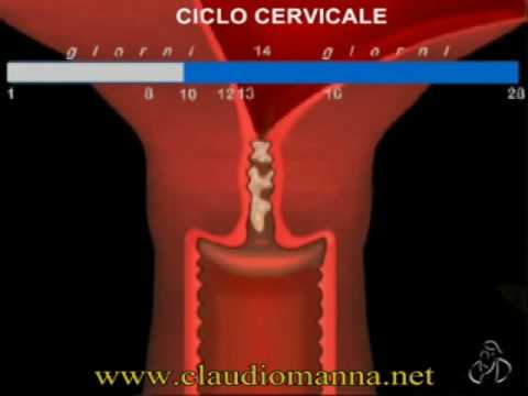 Dolore nella parte bassa della schiena dal coccige Vitamine del gruppo B utilizzati per la lombalgia