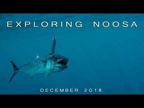 Exploring Noosa Feature Film