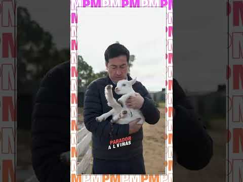 🚨 LEO NARDINI RECORRE LA PROVINCIA DE BUENOS AIRES | PM