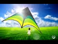 Best Seller Delta Kite