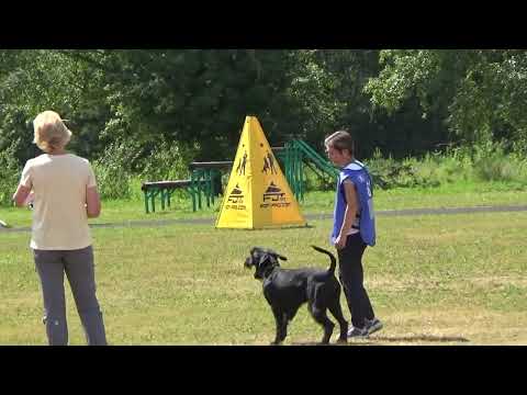 2022 IGP CACT Russia Knyazhevo 41 Timofeeva Ekaterina (62) and Law Hanno Veto (Riesenschnauzer) C84