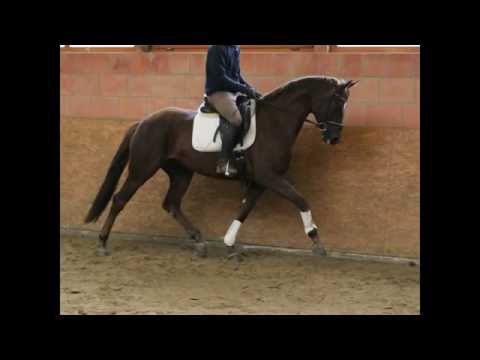 v. Don Frederic- Reccio L