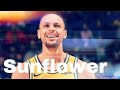 Steph Curry Mix Sunflower