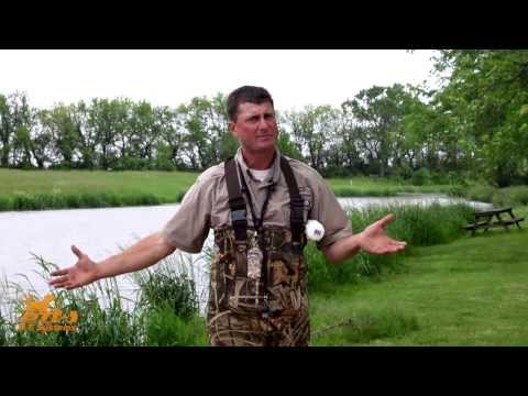How to Introduce your Dog to Water & Water Retrieves - DT Systems Dog Training Video 11
