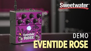 Eventide Rose - What To Know & Where To Buy | Equipboard
