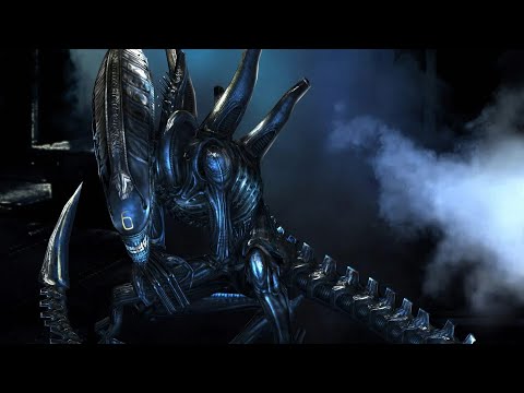 Wiki Aliens : Numéro 6