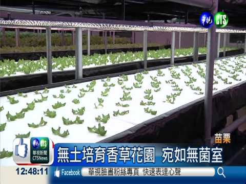 香草製保養品 植物工廠產值鍍金