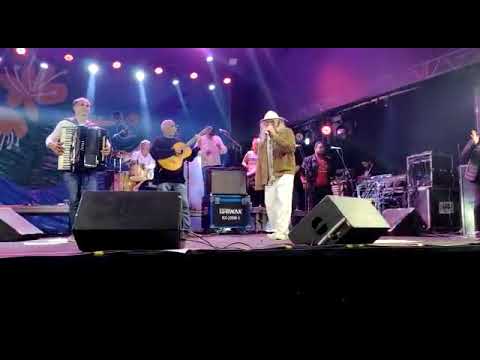 ZELYTO MADEIRA FIG 2022