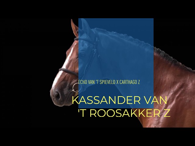 Kassander van 't Roosakker