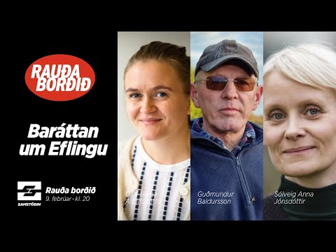 Rauða borðið – Baráttan um Eflingu