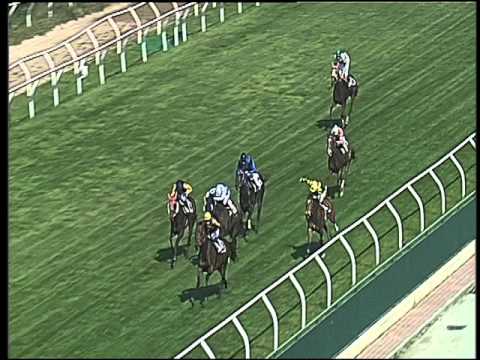 Galoppo 06/04/2016 - 1° corsa