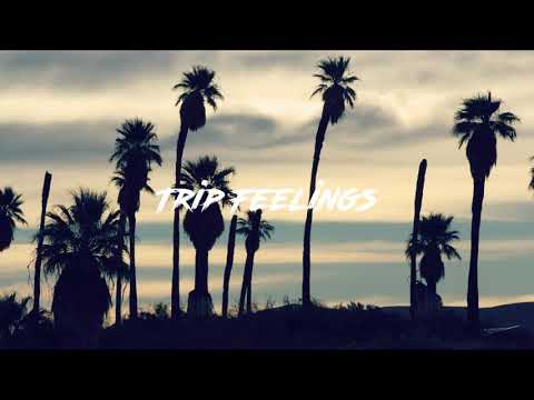 Dee Pete feat. Mary S.K. - Shameless (Desib-L Remix)