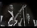 Muddy Waters & James Cotton - Got My Mojo Working (Live) 1966