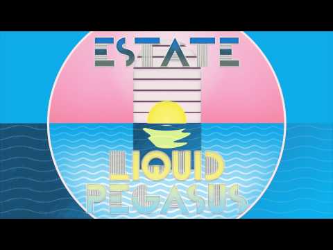 Estate + Liquid Pegasus - Tendency Satin Jackets (Remix) (Official)