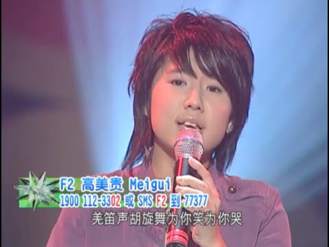 Mei Gui 高美贵 - 丝路