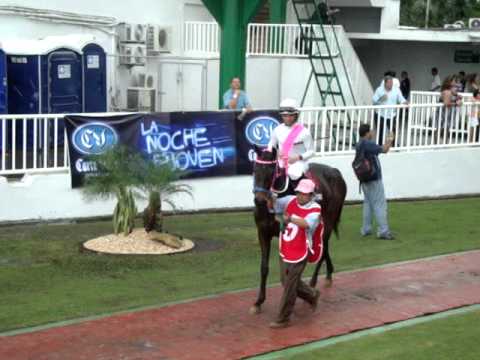 Copa Dama del Caribe 2011 - Portantina (Panamá)