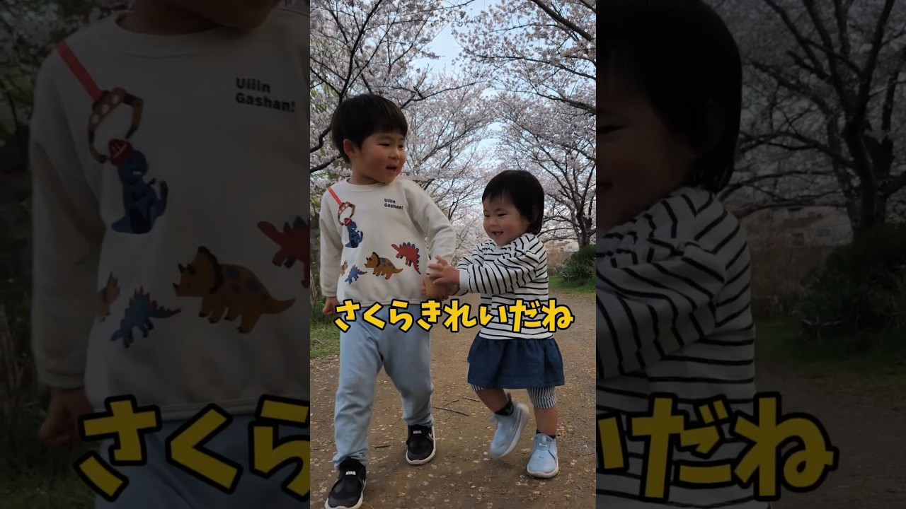 【育児のご褒美】ワンオペしんどい日、桜に救われた🥰 #親子時間 #花見