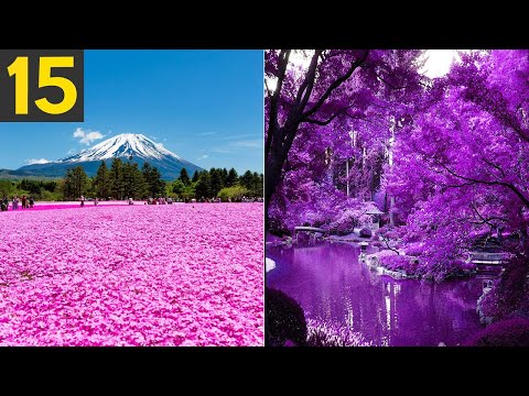 15 Most Gorgeous Garden Around the World