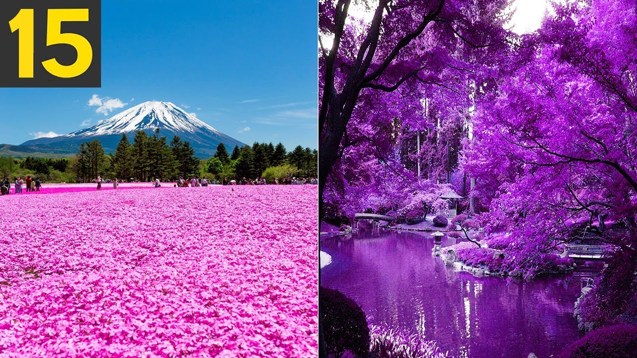 15 Most Beautiful Gardens in the World