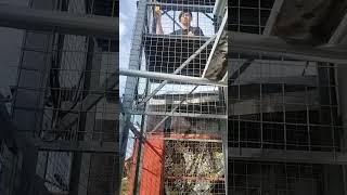 home made elevator