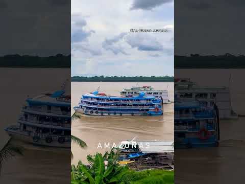 BORBA AMAZONAS #automobile #powerboat #racingboat #marinediesel #diesel #dieselengine #dieselpower