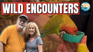 Norwegian Jade Pt. 4 | La Paz Cruise Port | Wildlife Excursion (Mexico)