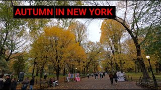 Exploring NYC - Autumn in New York