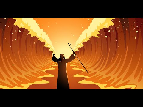 Četvrta knjiga Mojsijeva (Brojevi) - Novi Savremeni Prevod