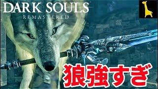 【ダークソウル リマスター】字幕実況#13 黒い森の庭 ボス 灰色の大狼シフ