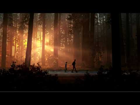 Life Is Strange 2 OST: Seyr - Colour To Colour (Episode 1 Launch Trailer Song)