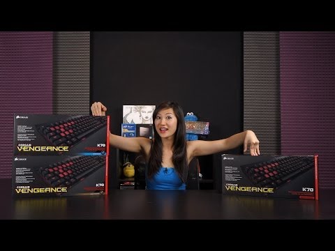 Cherry MX Switch Guide Part 1: Reds, Browns, & Blues!