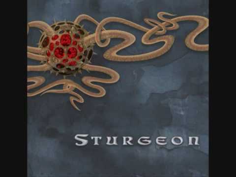 Darker - Sturgeon