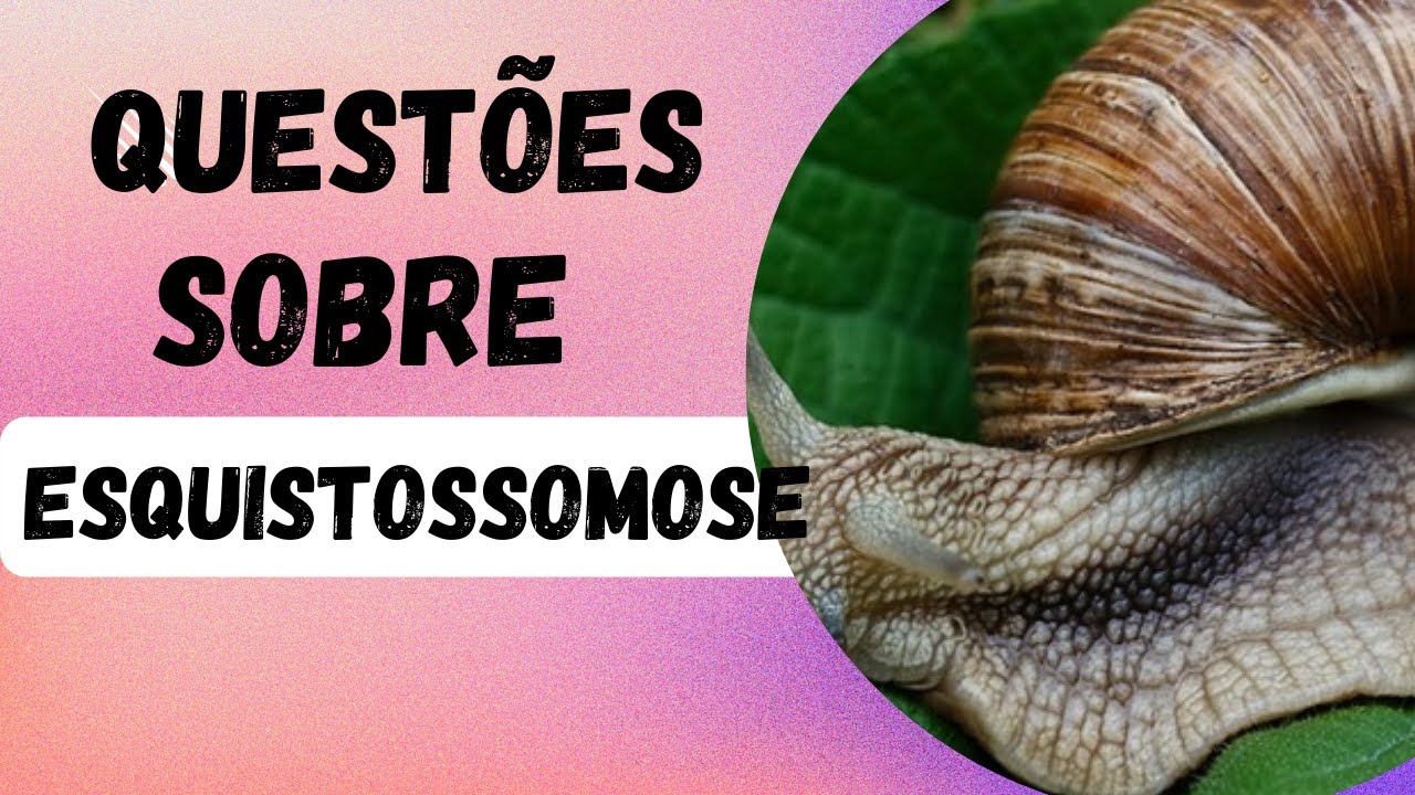 Questões sobre Esquistossomose