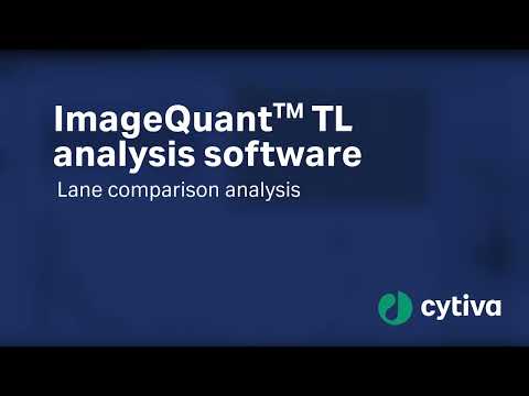ImageQuant™ analysis software - Lane comparison