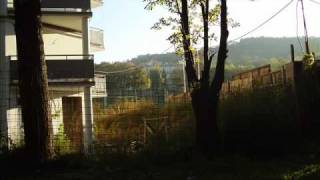 The Czars - Goodbye (Intro)