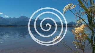Oasis Of Calm - Harmonizing Feel-Good Music For Letting Go, Reflecting And Dreaming (PURERELAX.TV)