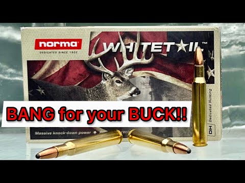 Norma Whitetail Ammo - Full Review of all Loadings