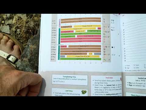 Sept 2022: Planting by the Moon Tips and Know - How for the month ahead