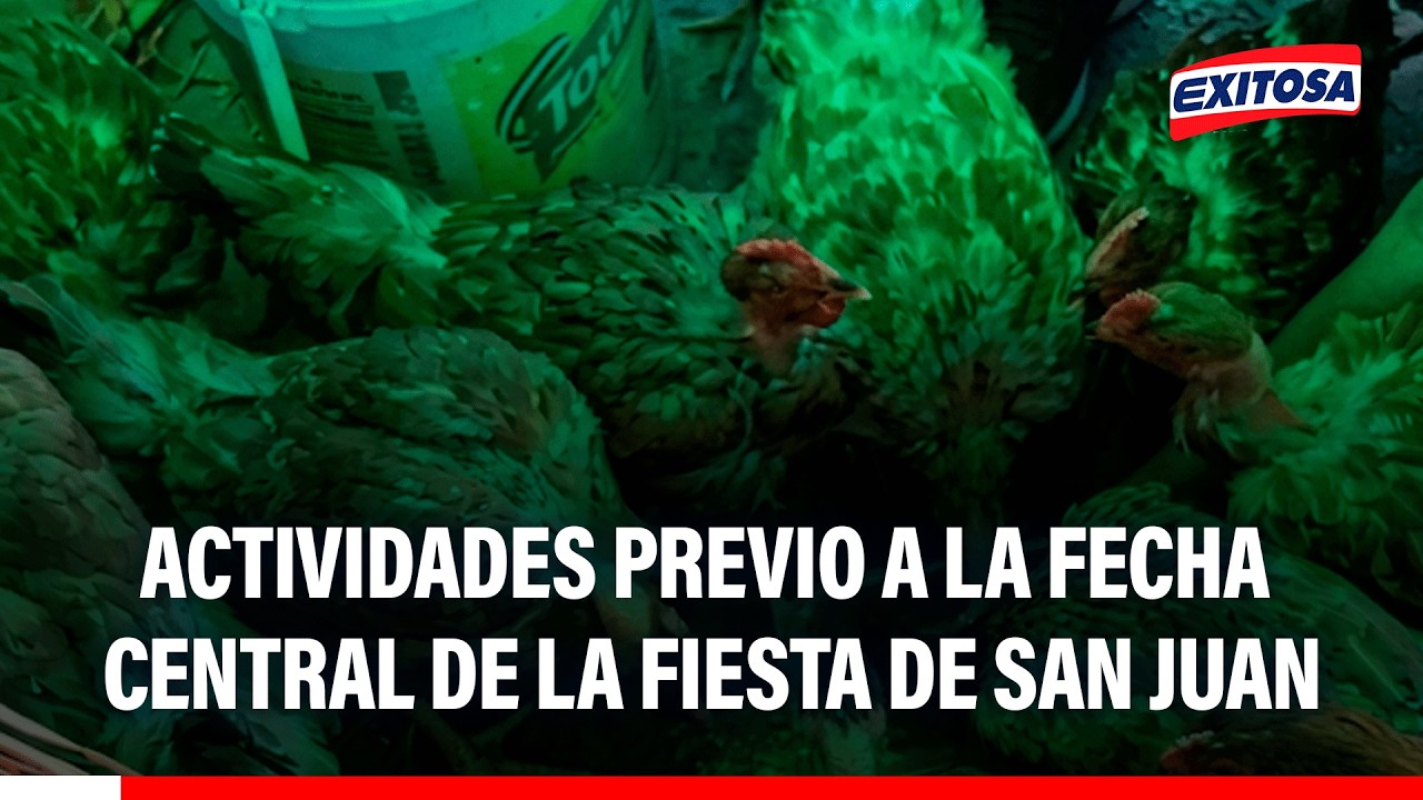 🔴🔵 En la Feria del Wira Bijao se puede encontrar todo para preparar el juane