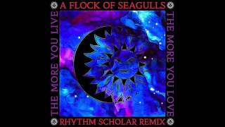 A Flock Of Seagulls - The More You Live The More You Live (Rhythm Scholar Starwave Remix)