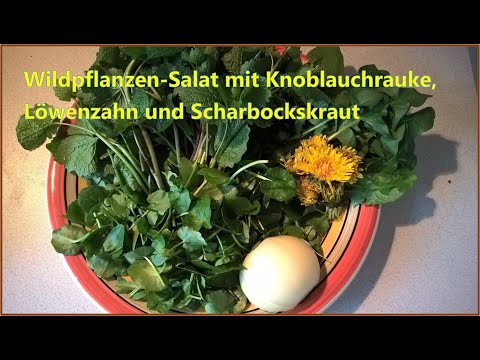 Wildpflanzen Salat 🥗 #2 | mit Knoblauchrauke, Löwenzahn und Scharbockskraut