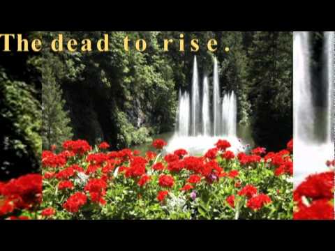 Kingdom Melody #19 - God's Promise of Paradise