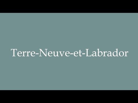 How to Pronounce ''Terre-Neuve-et-Labrador'' (Newfoundland and Labrador) Correctly in French