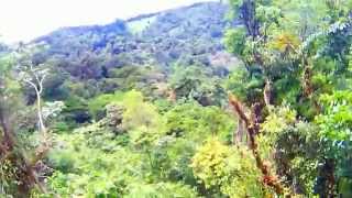 preview picture of video 'ZiplineZipline - 100% Aventura - Canopy Tour - Costa Rica - Santa Elena HD'