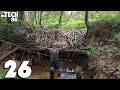 One Big Beavers Dam - Manual Beaver Dam Removal No.26