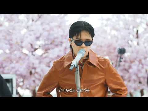 210410 AKMU (악뮤) - DINOSAUR [Lotte World Cherry Blossom Online Busking (랜선 벚꽃 버스킹)]