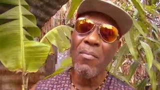 Winston Berry-Mr Bodyguard